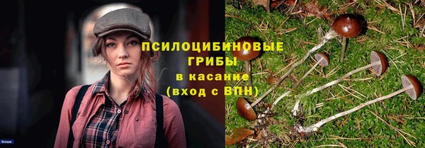 тгк Лабытнанги