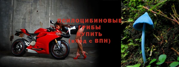 гидра Лагань