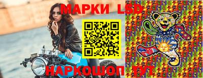 стаф Гай