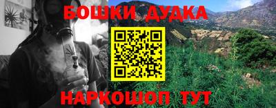 стаф Гай