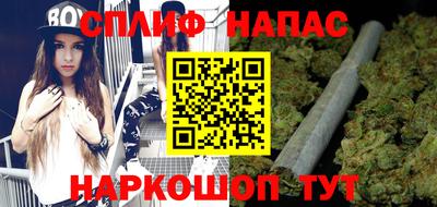 спайс Гагарин