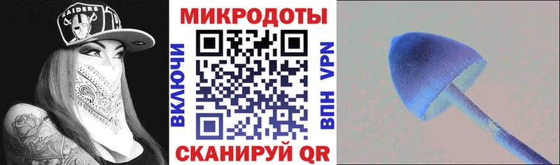 закладки  Юрга  Галлюциногенные грибы Magic Shrooms 