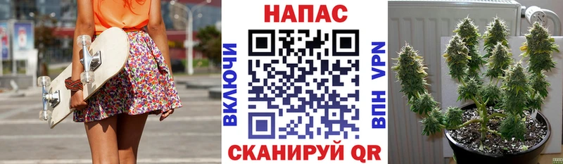 даркнет какой сайт  Юрга  Каннабис VHQ 